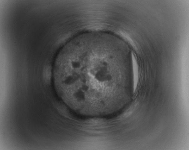 X0000092290495200709211216