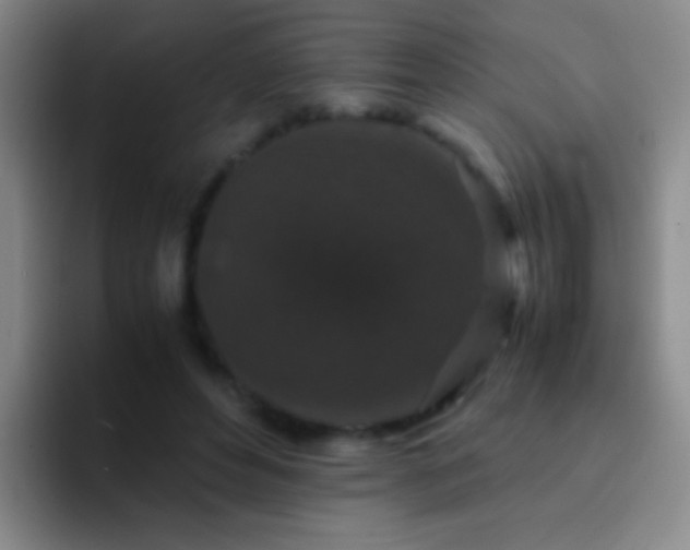 X0000092290496200709211216