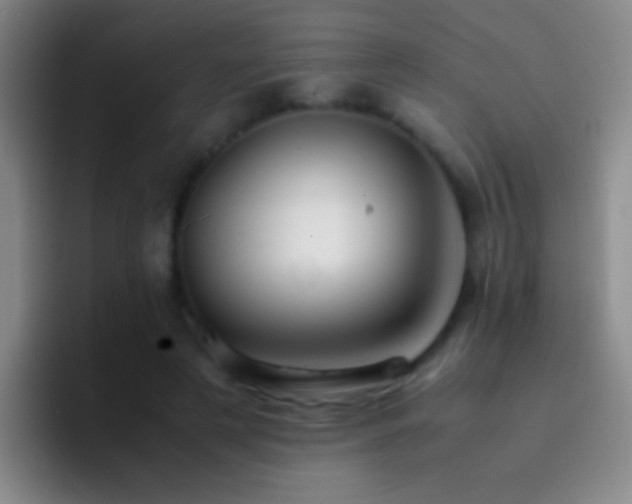 X0000092290497200709211216