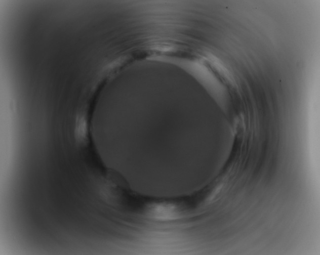 X0000092290500200709211216