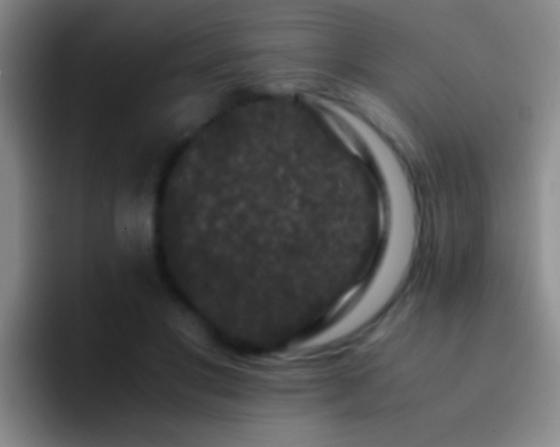 X0000092290501200709211216