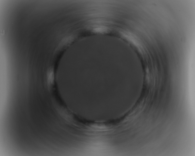 X0000092290502200709211216