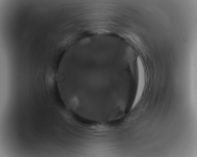 X0000092290503200709211216