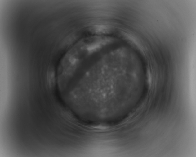 X0000092290506200709211216