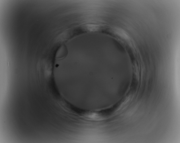 X0000092290507200709211216