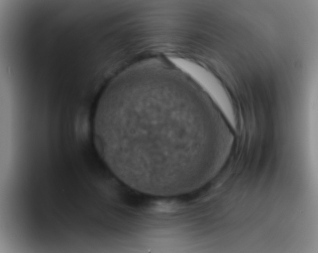 X0000092290508200709211216