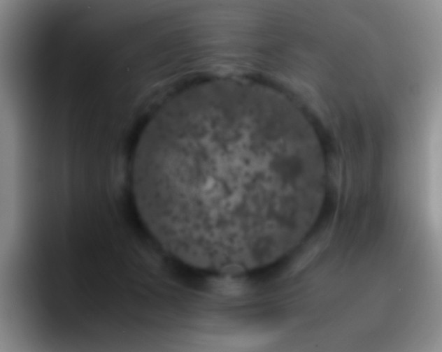 X0000092290511200709211216