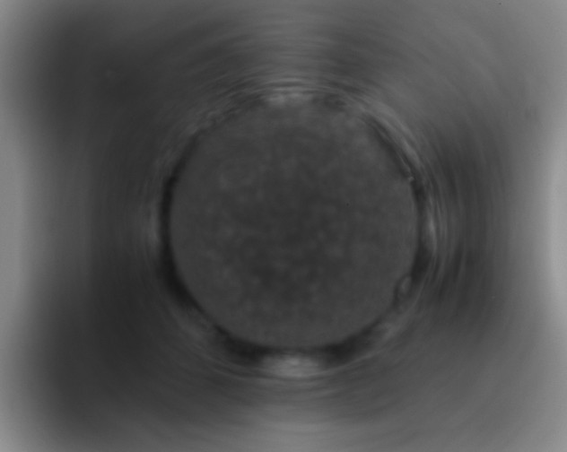 X0000092290512200709211216