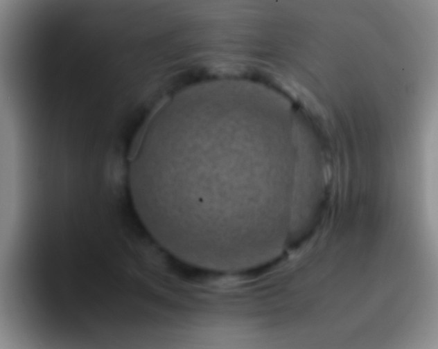 X0000092290513200709211215