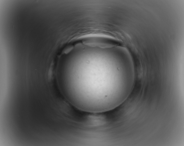 X0000092290515200709211215