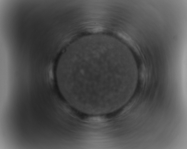 X0000092290516200709211215