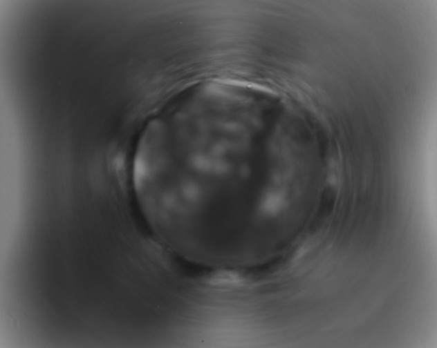 X0000092290519200709211215