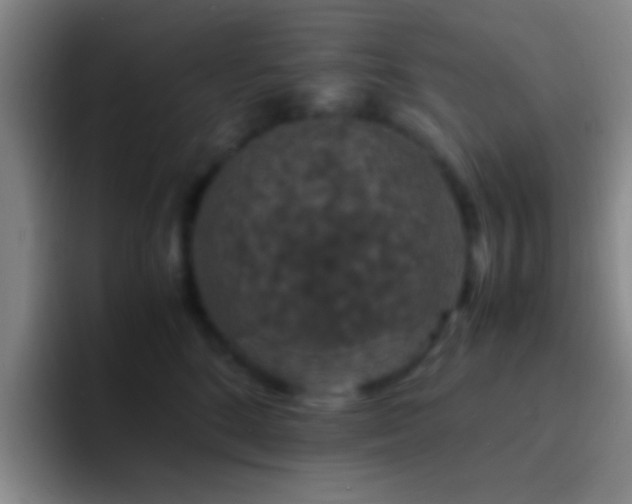 X0000092290520200709211215