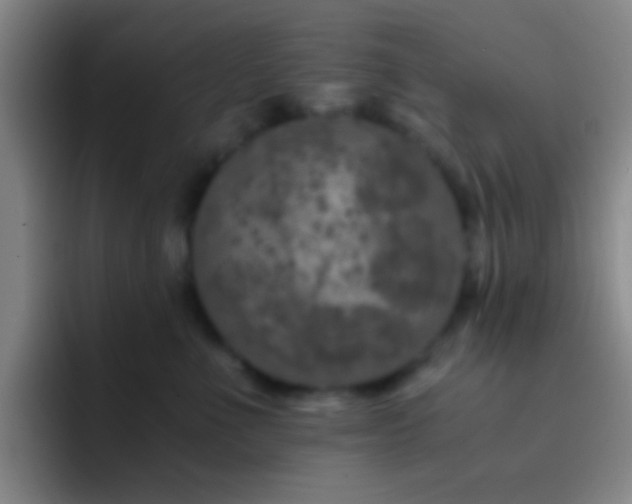 X0000092290523200709211215