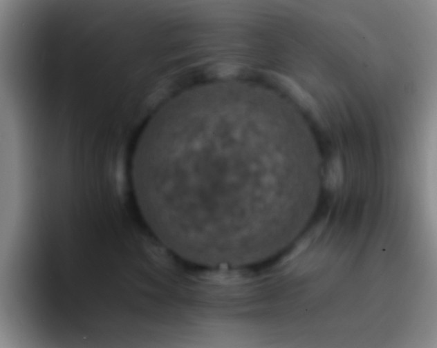 X0000092290524200709211215