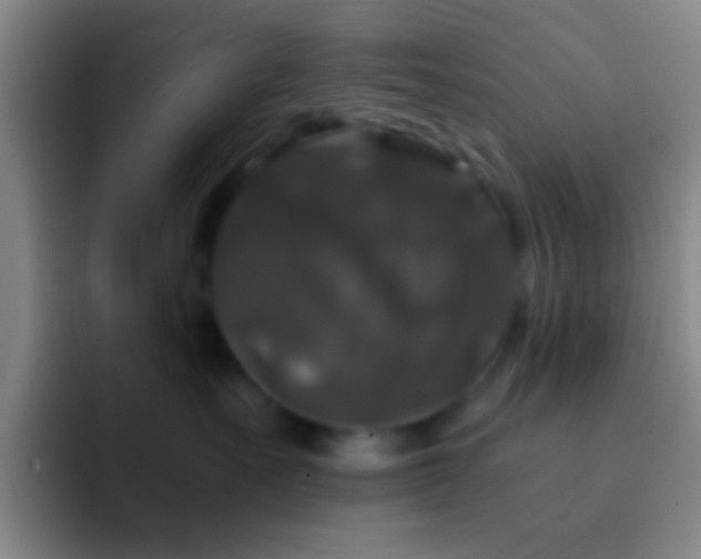 X0000092290527200709211215