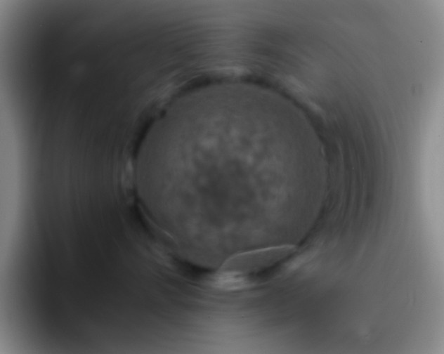 X0000092290528200709211215