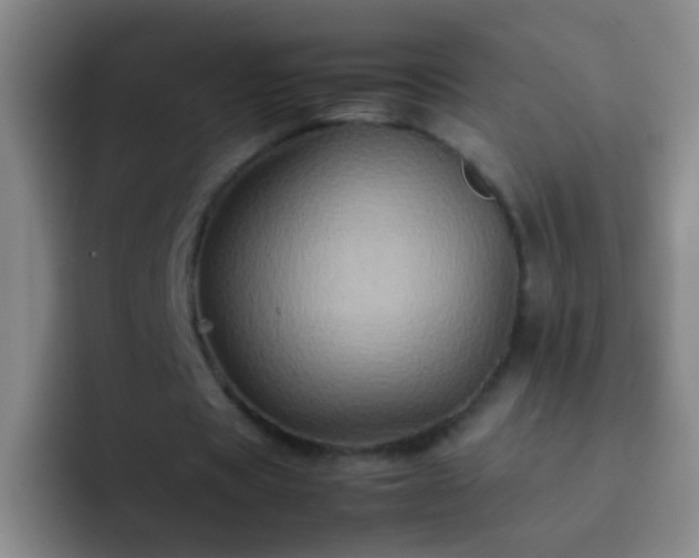 X0000092290529200709211215