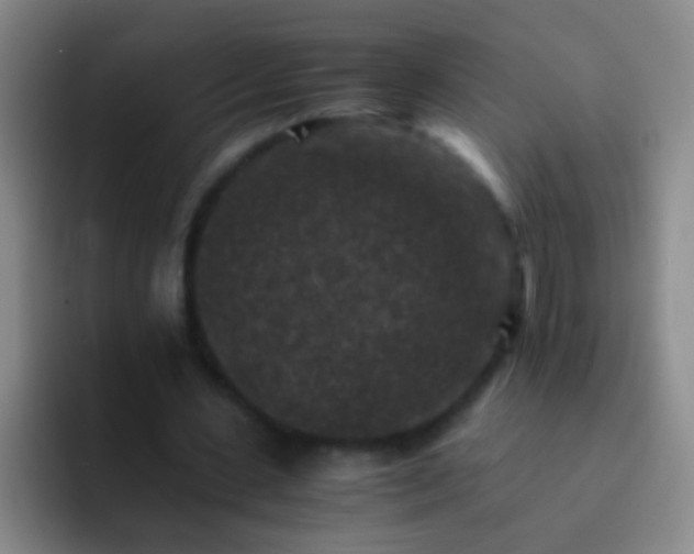 X0000092290531200709211215