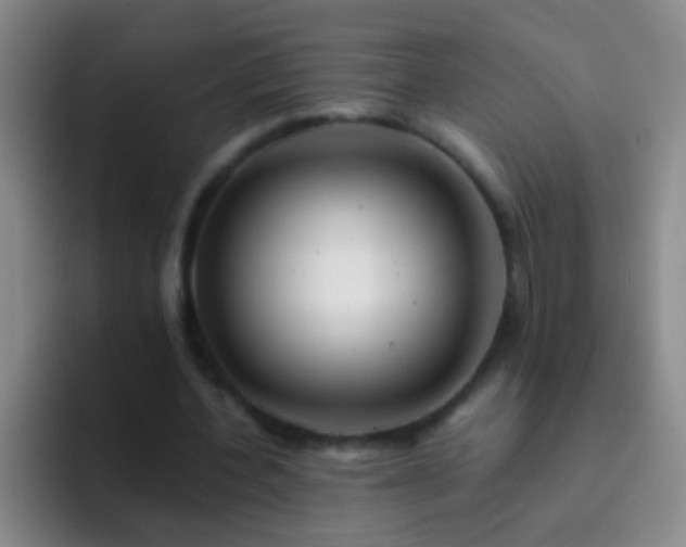 X0000092290532200709211215