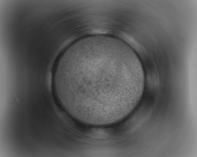 X0000092290534200709211215