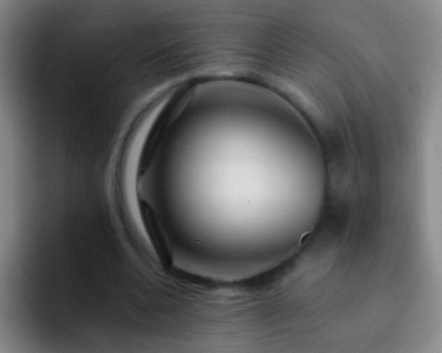 X0000092290536200709211215