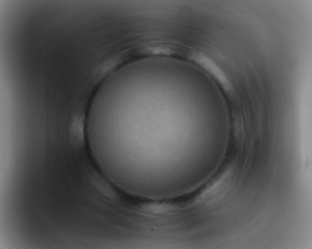 X0000092290537200709211215