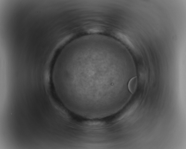 X0000092290539200709211215