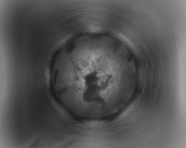 X0000092290542200709211215