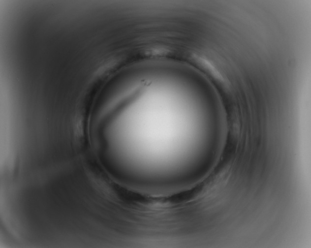 X0000092290543200709211215