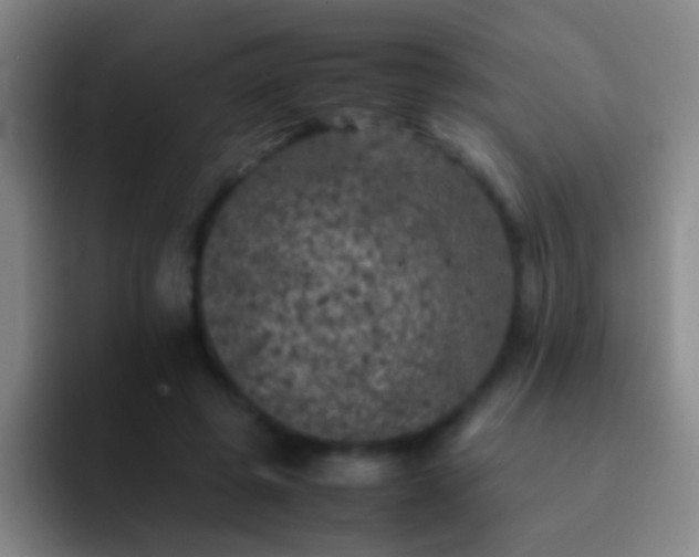 X0000092290545200709211215