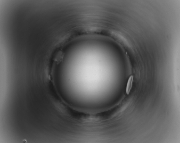 X0000092290546200709211215