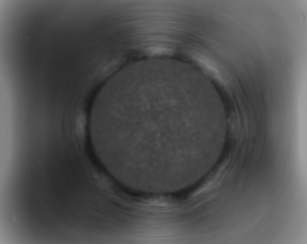 X0000092290550200709211215