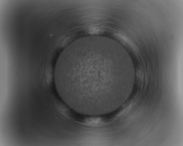 X0000092290554200709211215