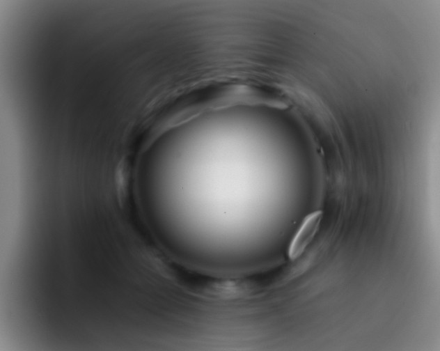 X0000092290558200709211215