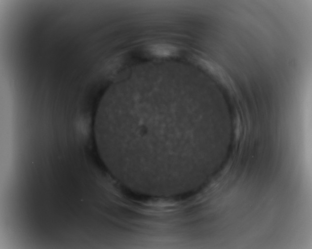 X0000092290559200709211215