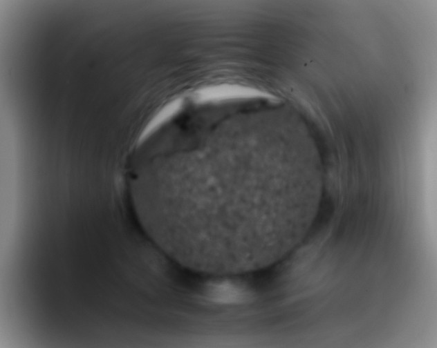 X0000092290561200709211215