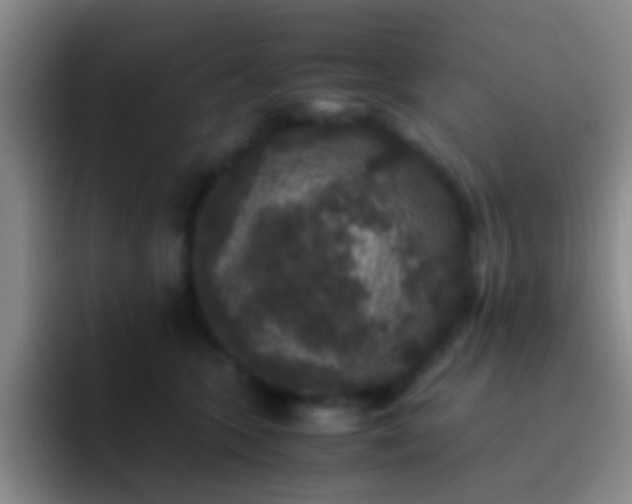 X0000092290563200709211215