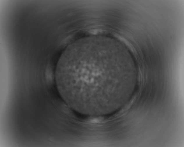 X0000092290569200709211215