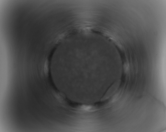 X0000092290570200709211215