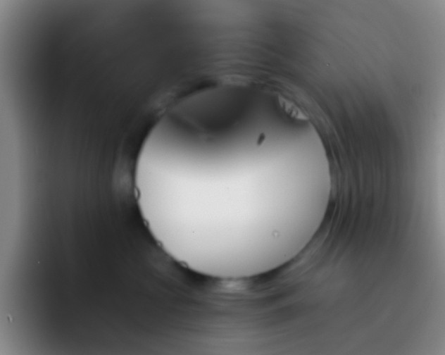 X0000092290573200709211215