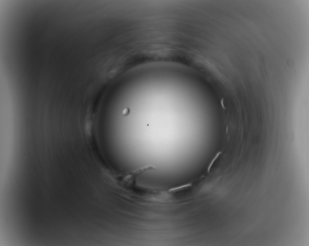 X0000092290576200709211215