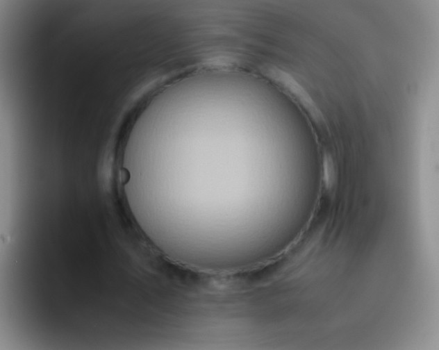 X0000092290579200709211215