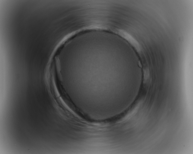 X0000092290580200709211215