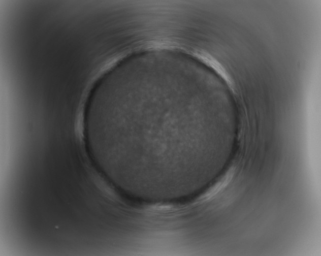 X0000092290581200709211215