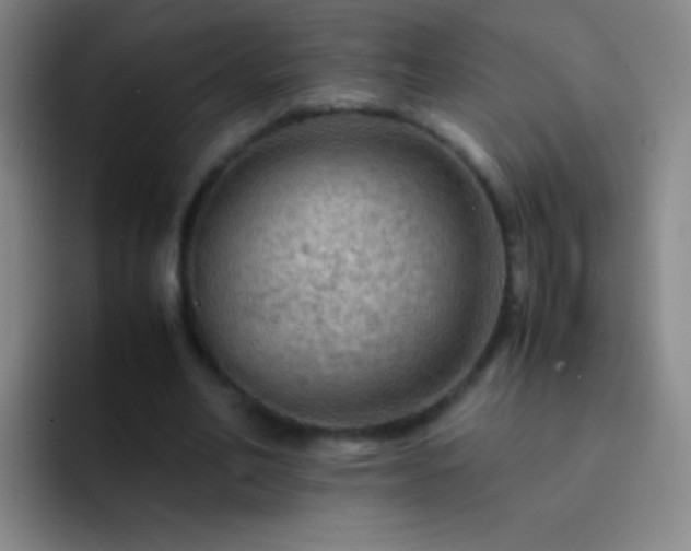 X0000092290582200709211215