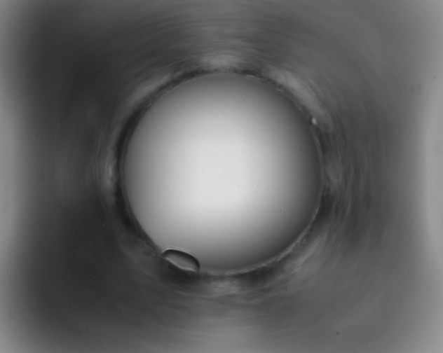 X0000092290583200709211215