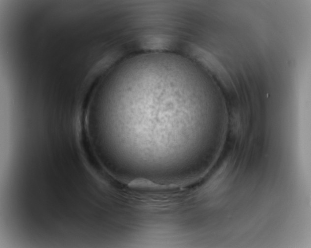 X0000092290586200709211215