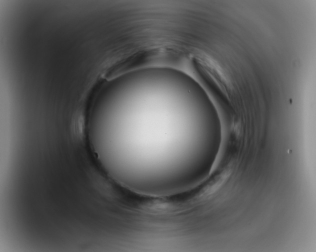 X0000092290589200709211215