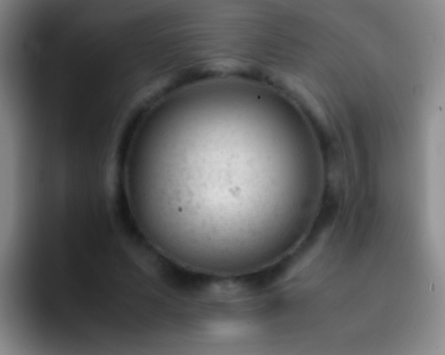 X0000092290591200709211215